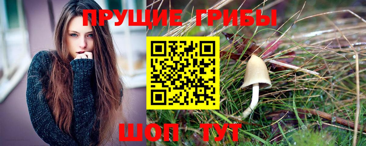 Псилоцибиновые грибы мухоморы Видное