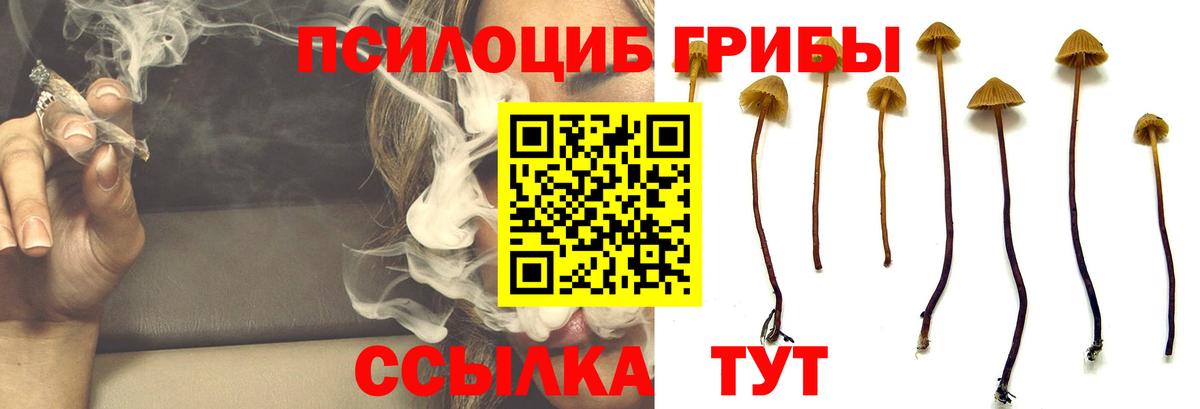 Псилоцибиновые грибы Psilocybe  Вход с VPN  где найти наркотики  Галлюциногенные грибы мухоморы  Видное 